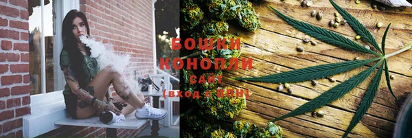 молекула духа Верхний Тагил